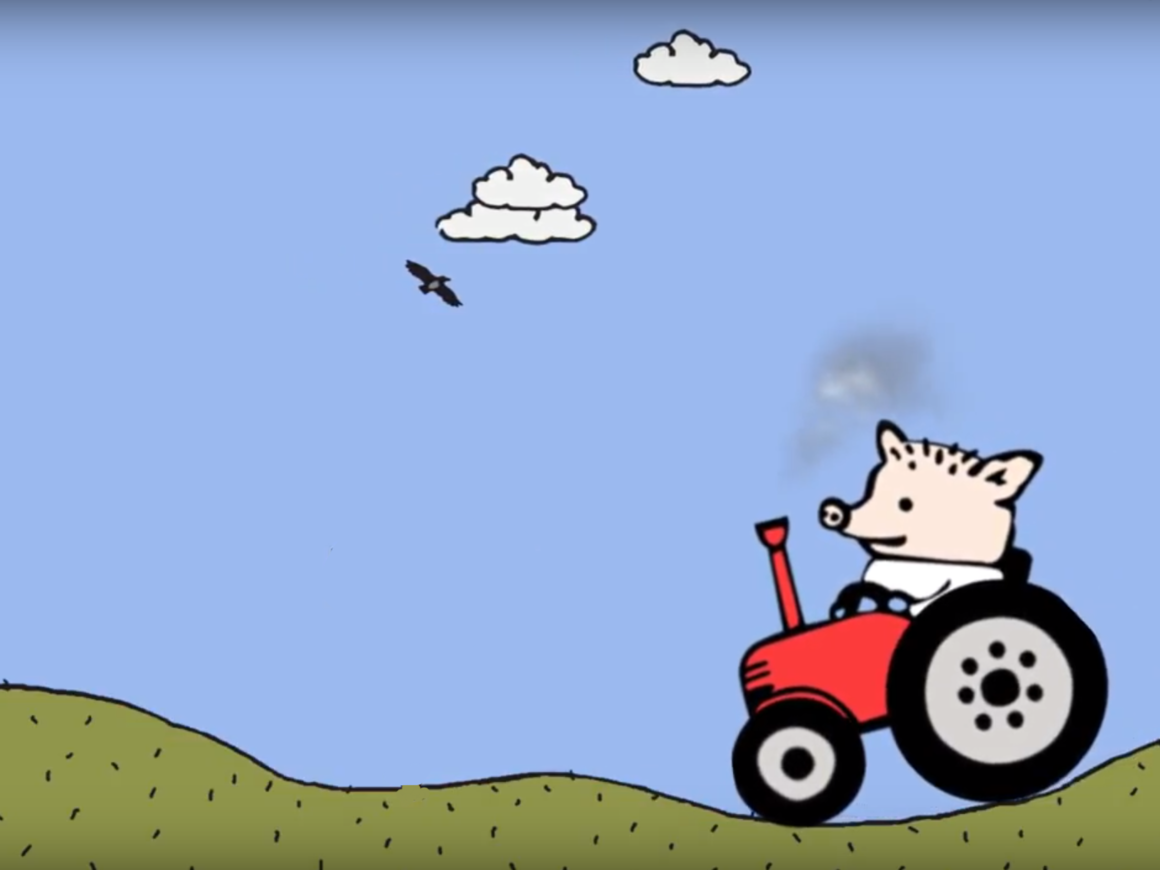 Свинки вместо людей: в Европе переживают из-за перенаселения свиньями и экологии
