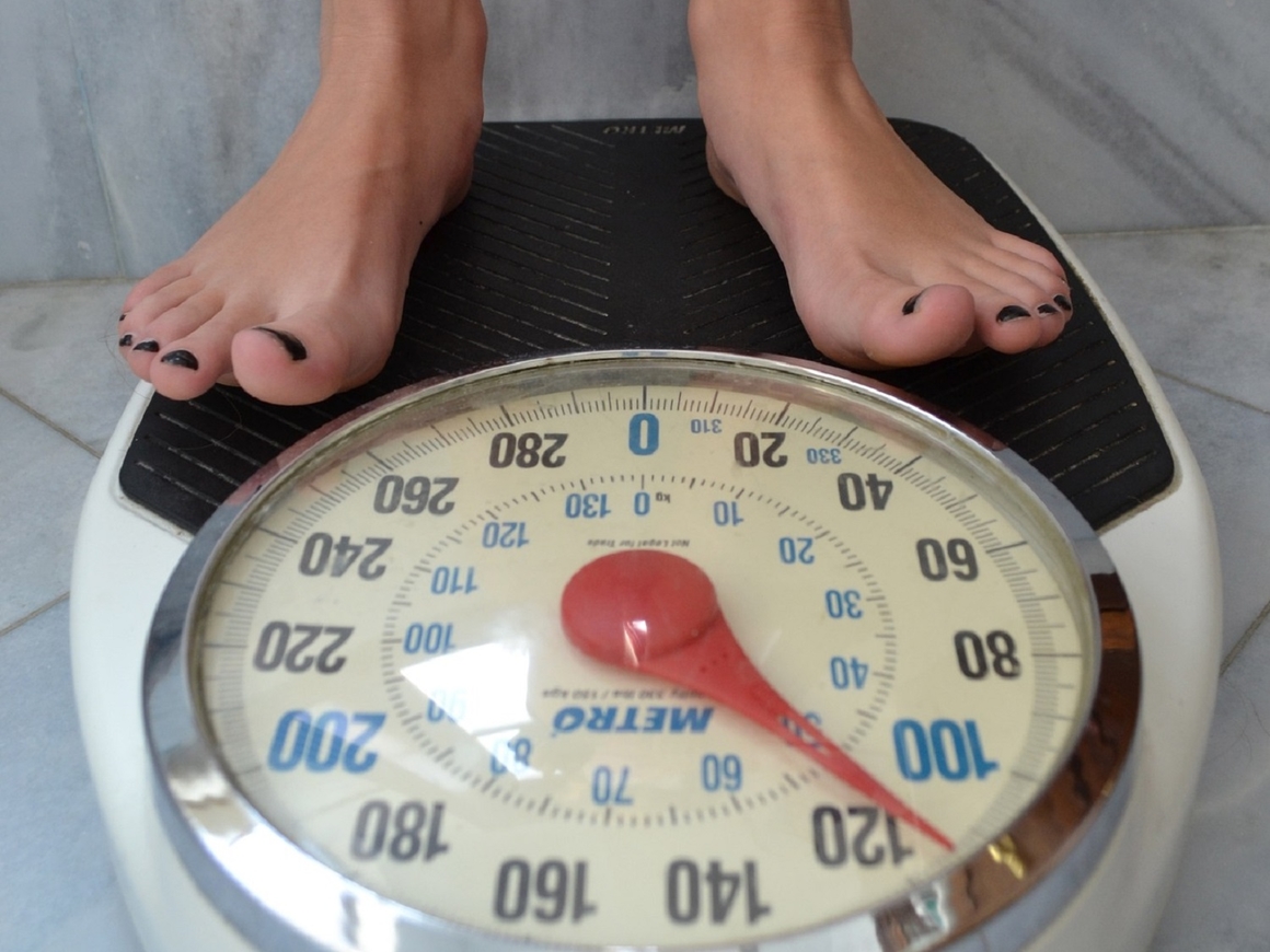 Проверено на мышах: лишний вес ухудшает работу мозга