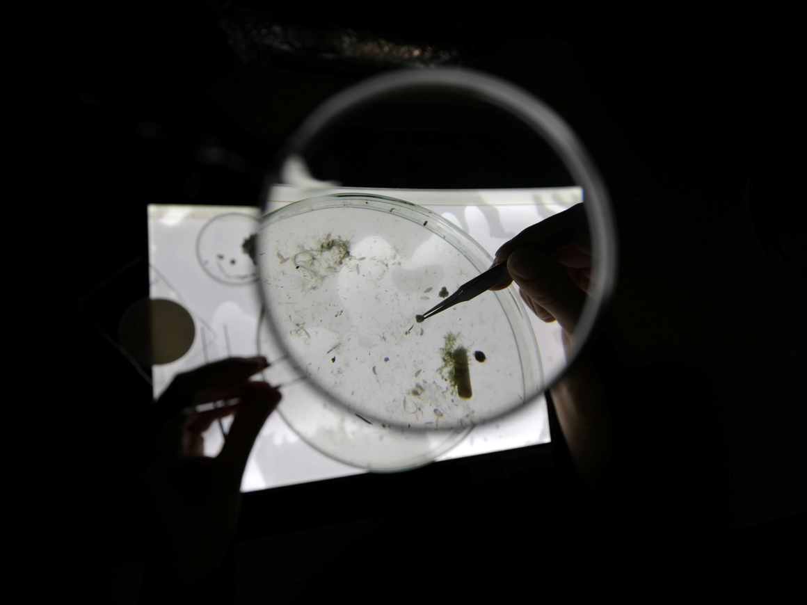 Плохие новости: ученые нашли микропластик внутри человека