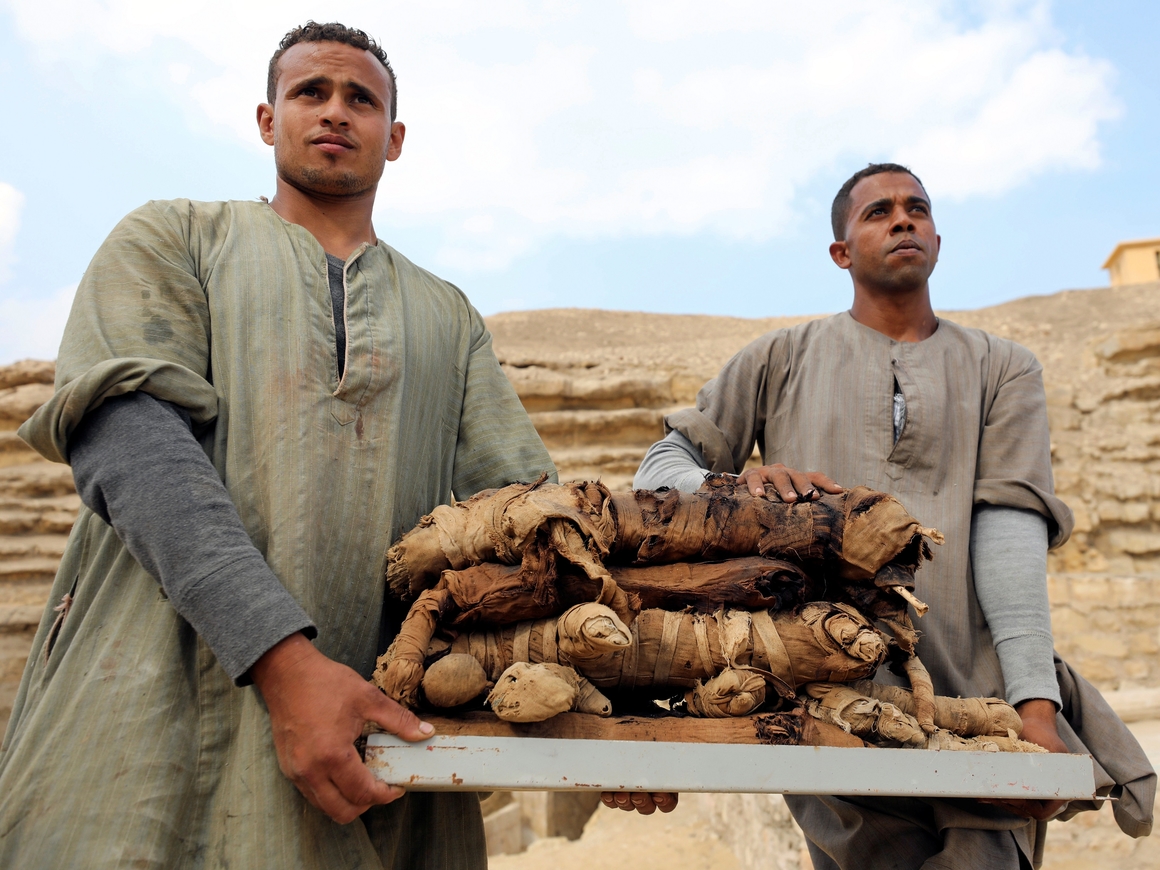 Религия взрослых и независимых: В Египте нашли десятки кошачьих мумий (видео)