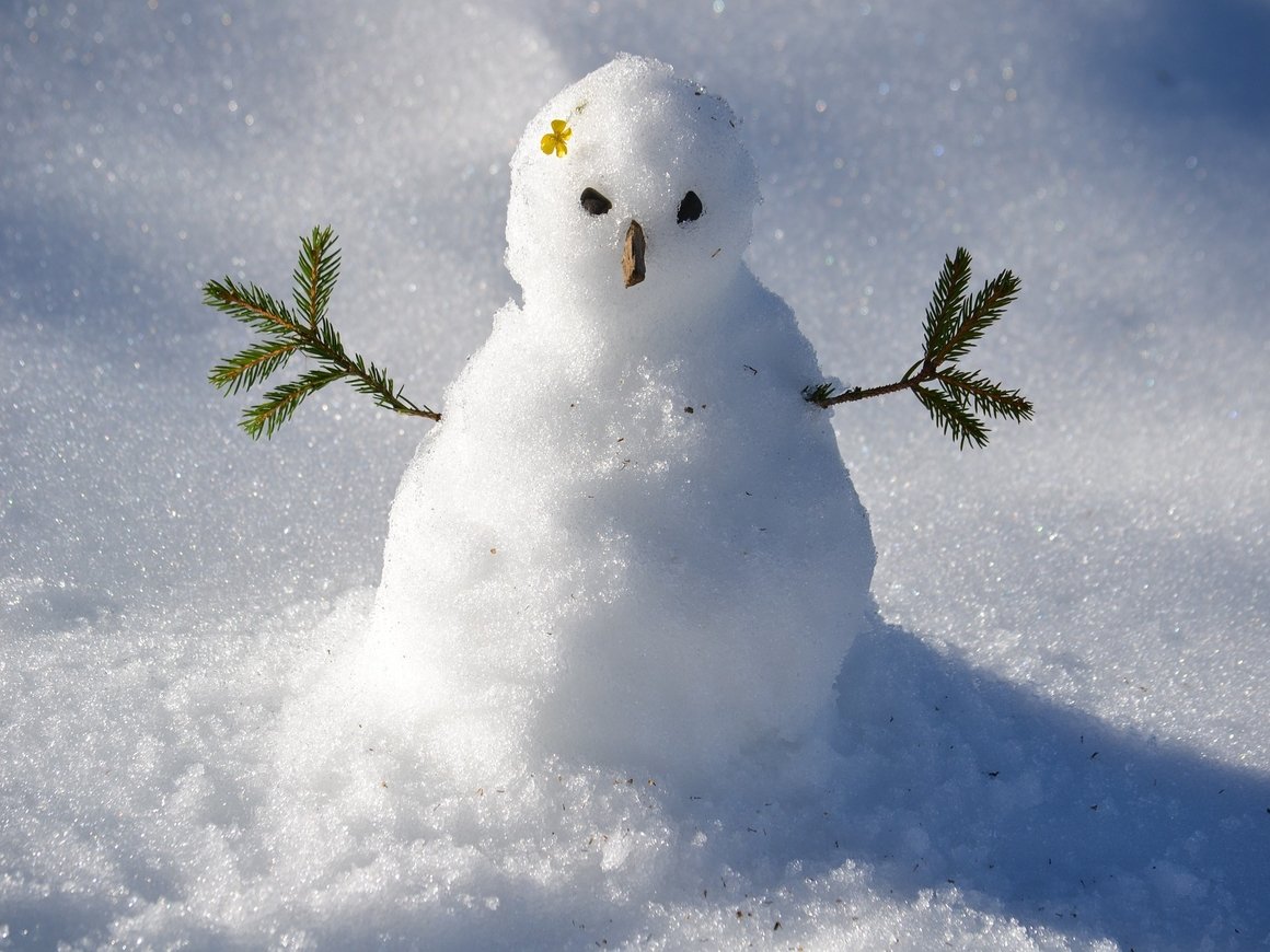 Толерантность зашкаливает: в Британии и США теперь лепят "снеголюдей"