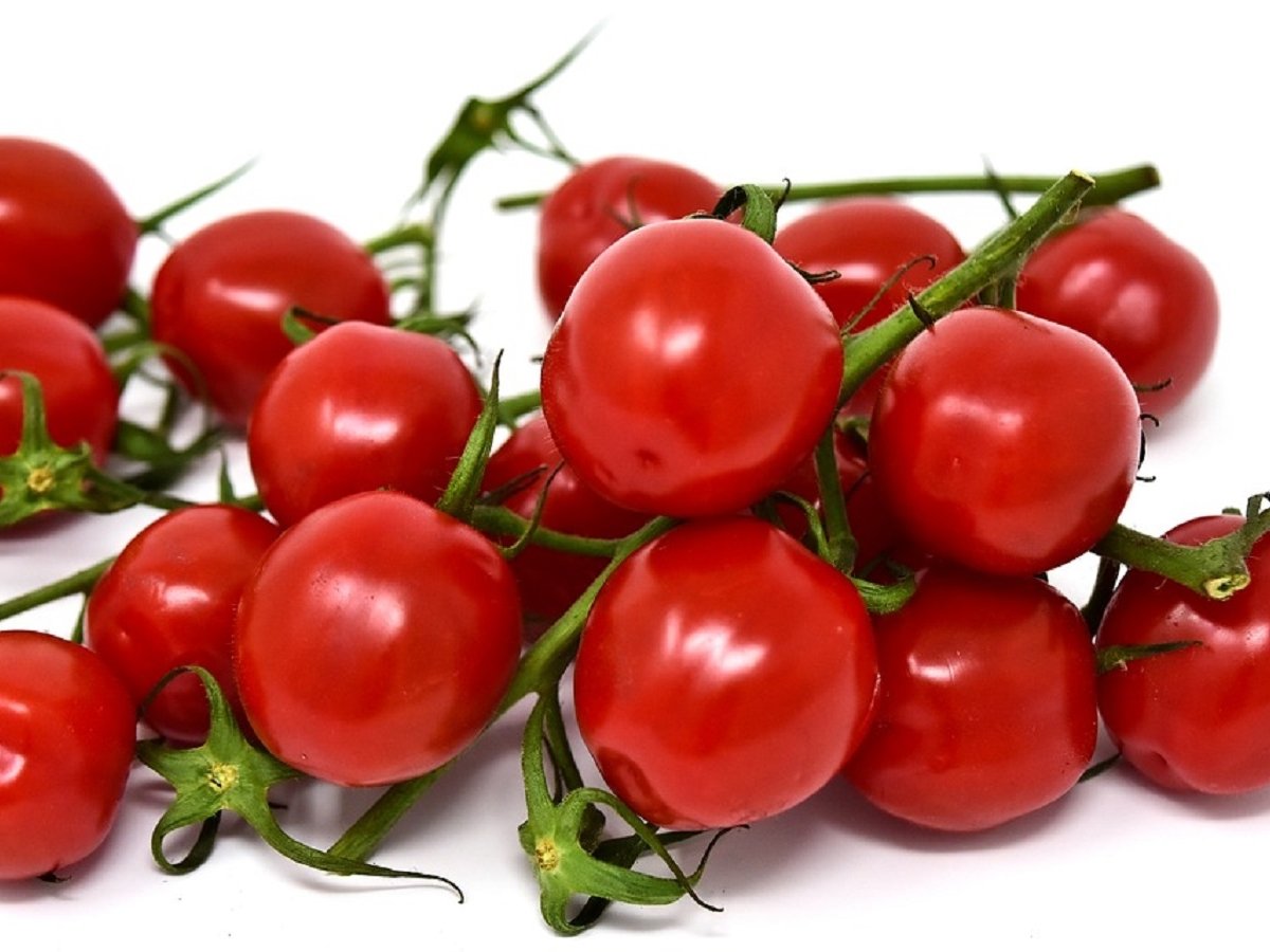 Налетай — подешевело: российские томаты стали дешевле импортных