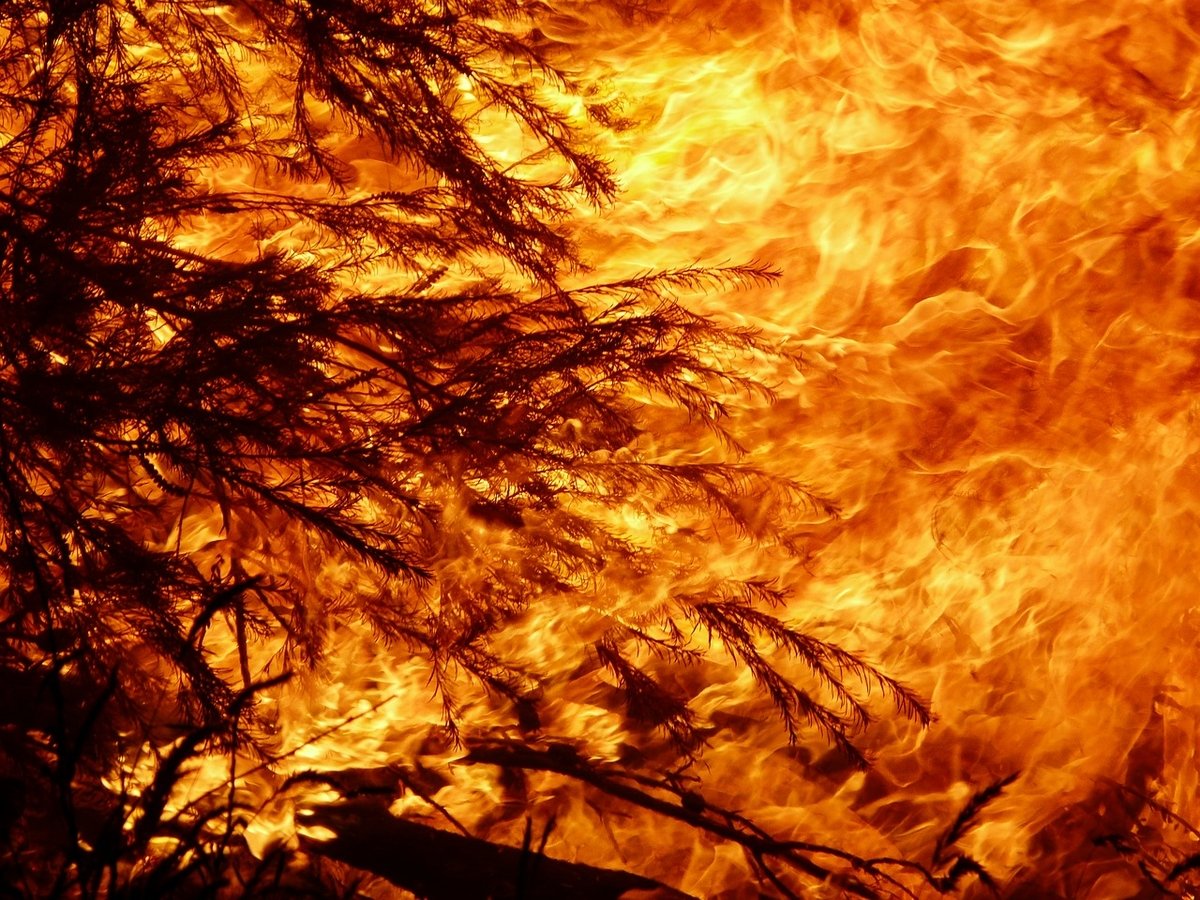 В Австралию заглянул Апокалипсис: из-за пожаров небо стало красным (фото)