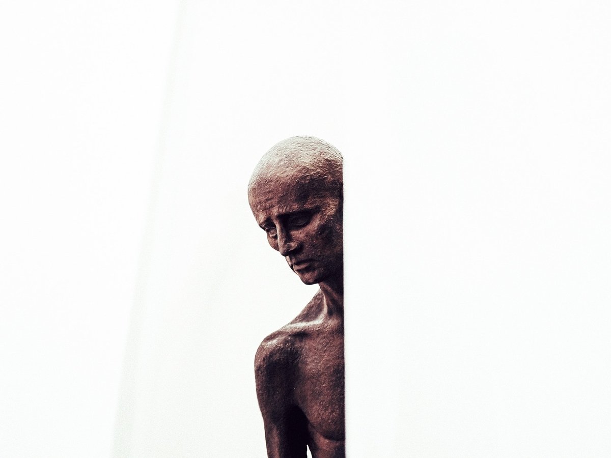 Смертельное искусство: экологичная скульптура отравляла своего творца