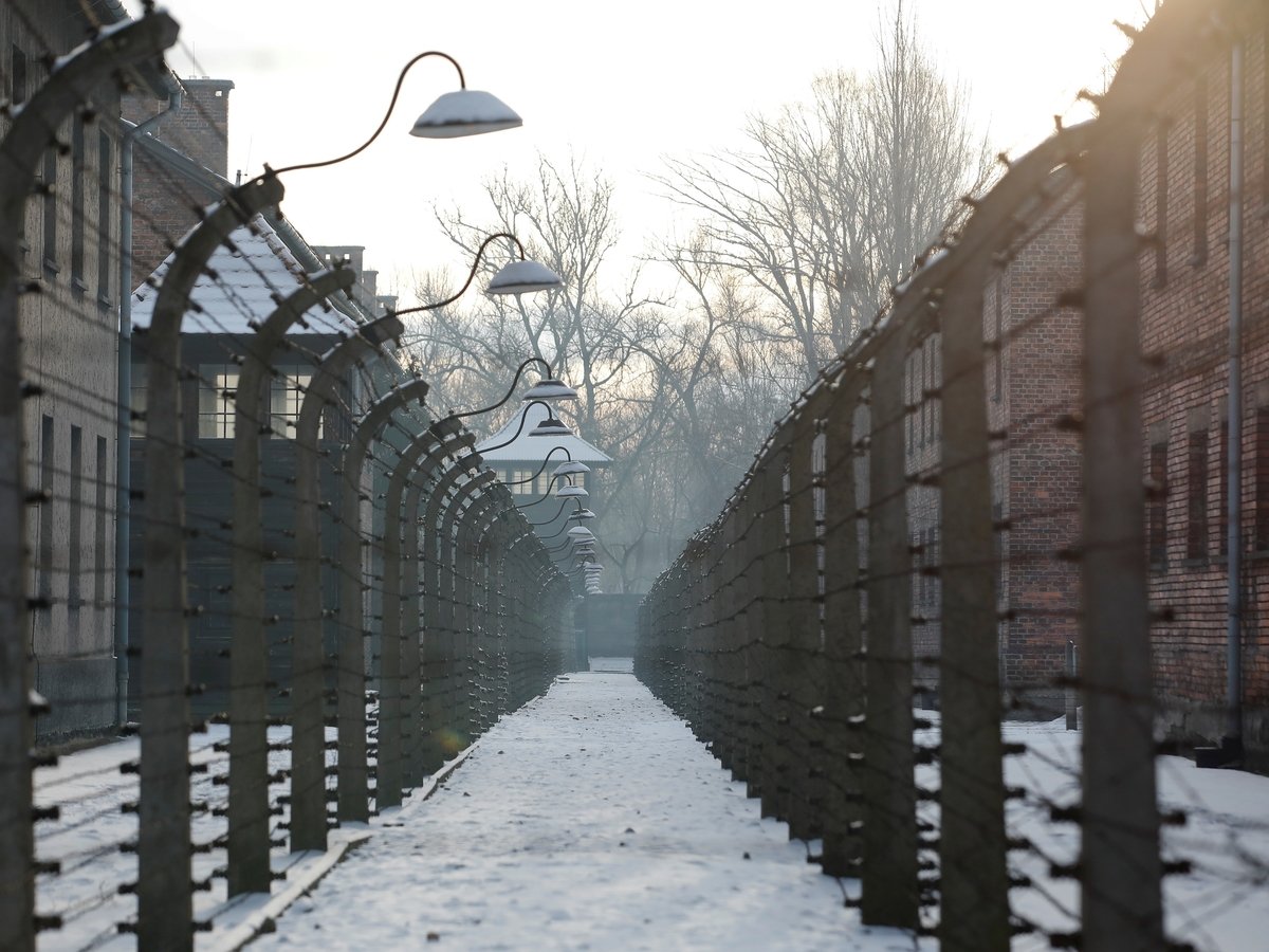 Сколько европейцев отрицают Холокост?