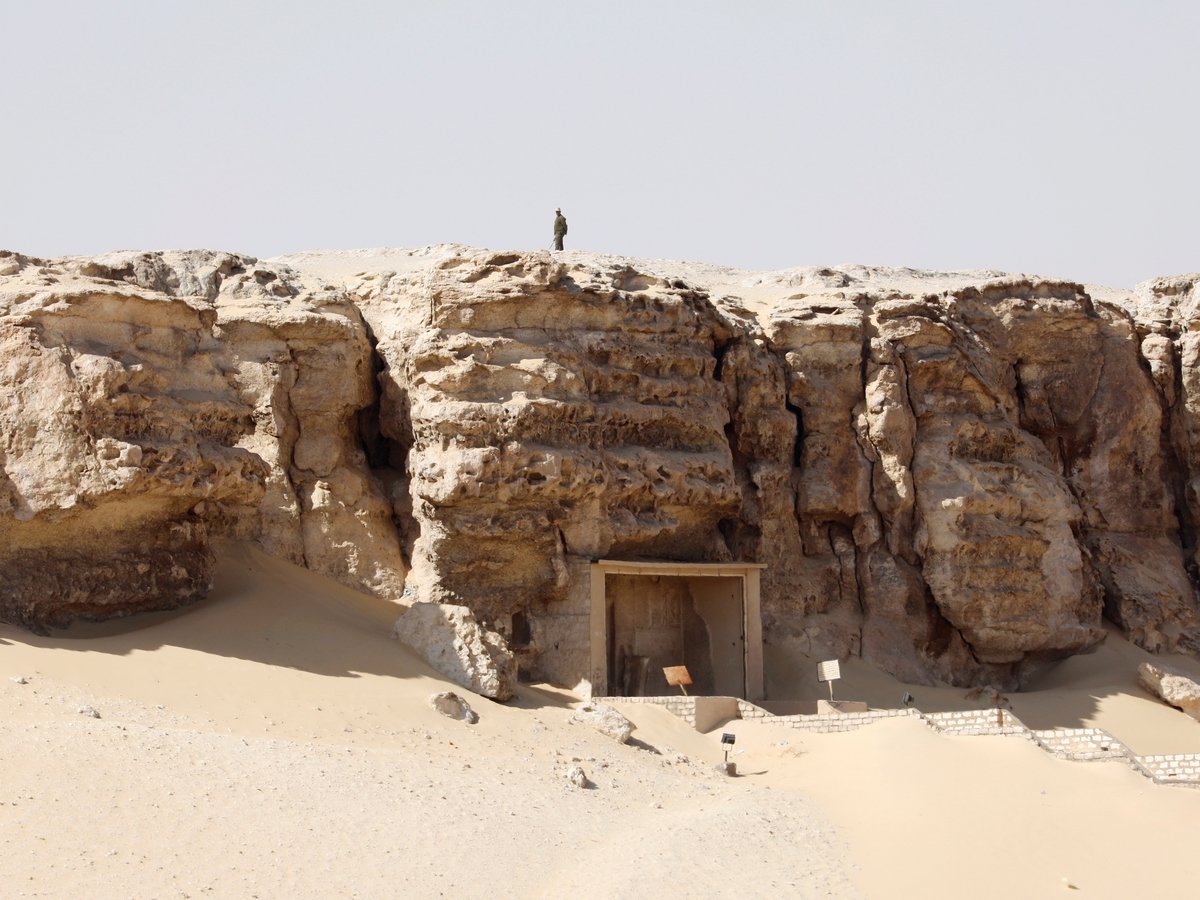 Год только начался, а в Египте уже нашли 50 мумий (фото+видео)