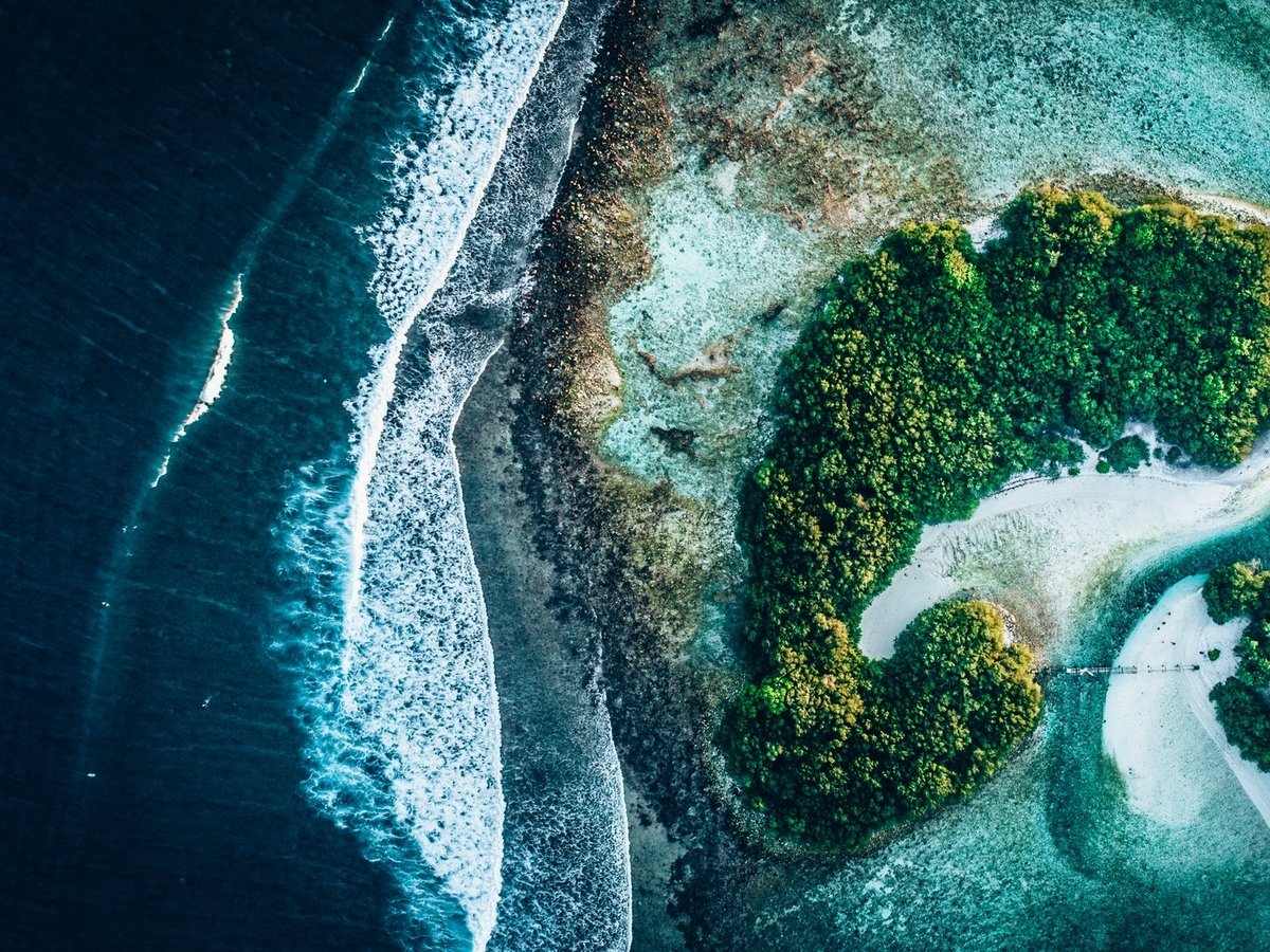 Соломоновы острова страдают: разлив нефти вызвал экологическую катастрофу
