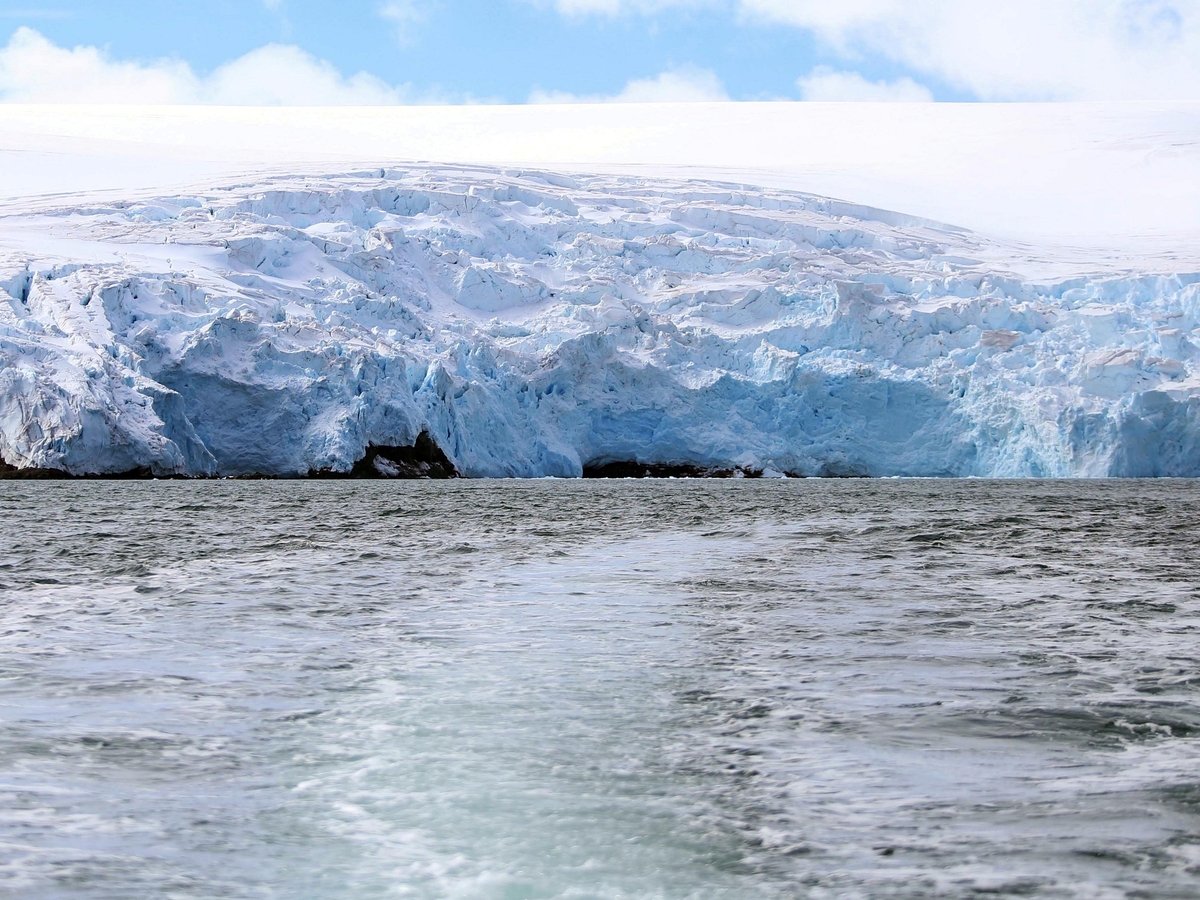 Зелёная Антарктида — вот что ждёт человечество в результате изменения климата