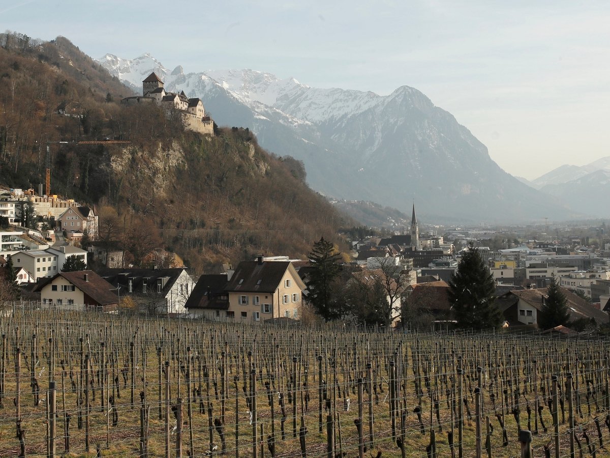 Чтобы виноградинки не озябли: в Германии и Франции поджигают виноградники (фото)