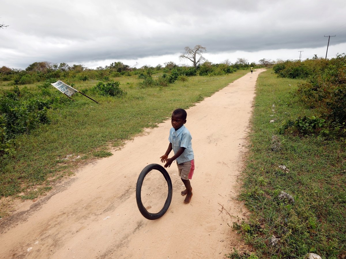 Фургон-компьютер на ишаке, или как в Мозамбике повышают цифровую грамотность