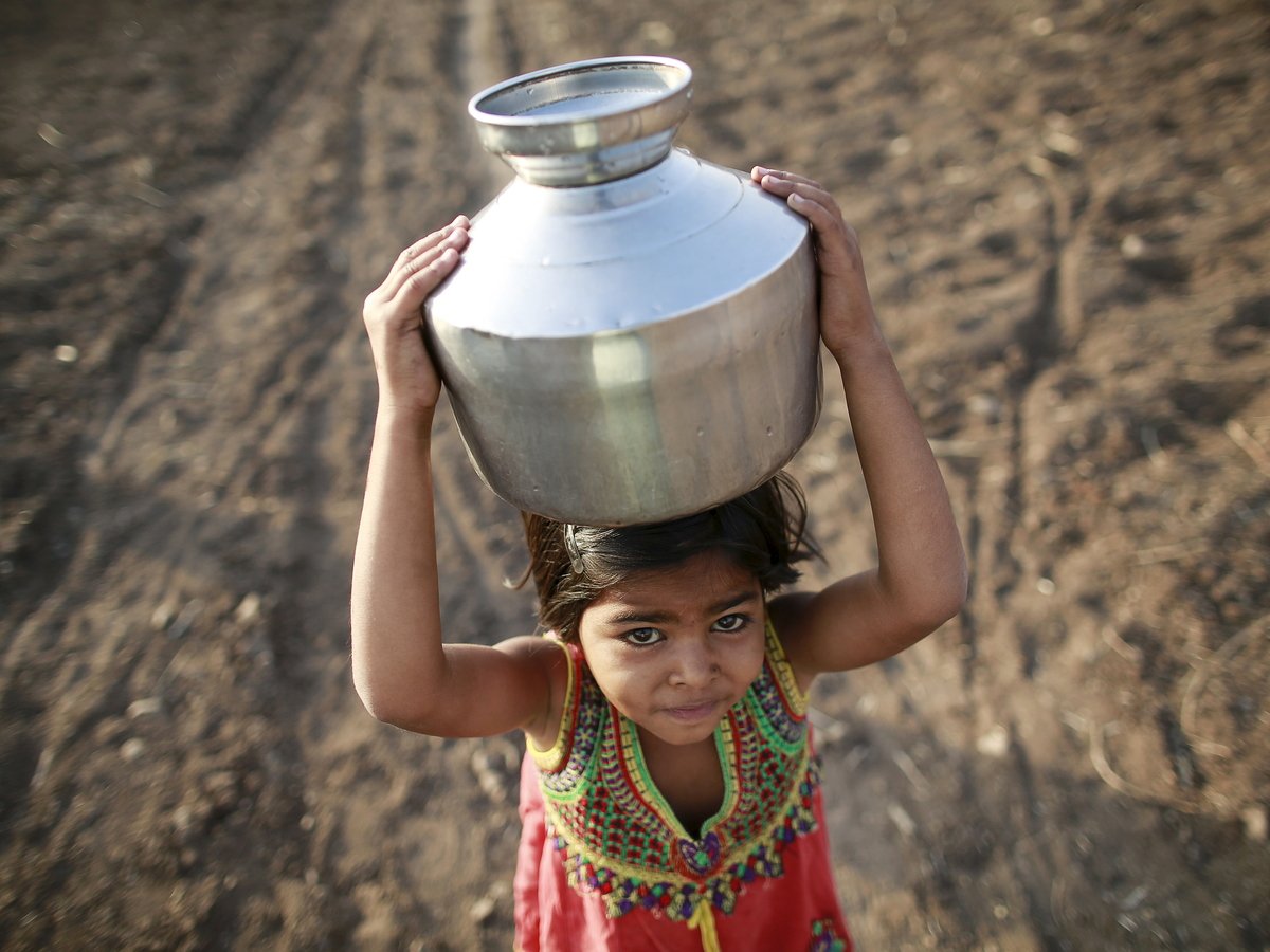 В Индии страшная засуха: за воду дерутся люди и обезьяны