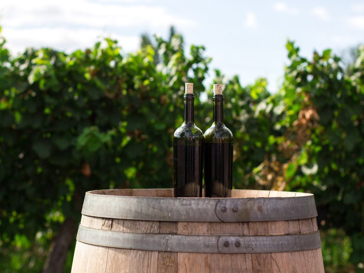 Из древних сортов винограда до сих пор делают вино. Это показал анализ ДНК