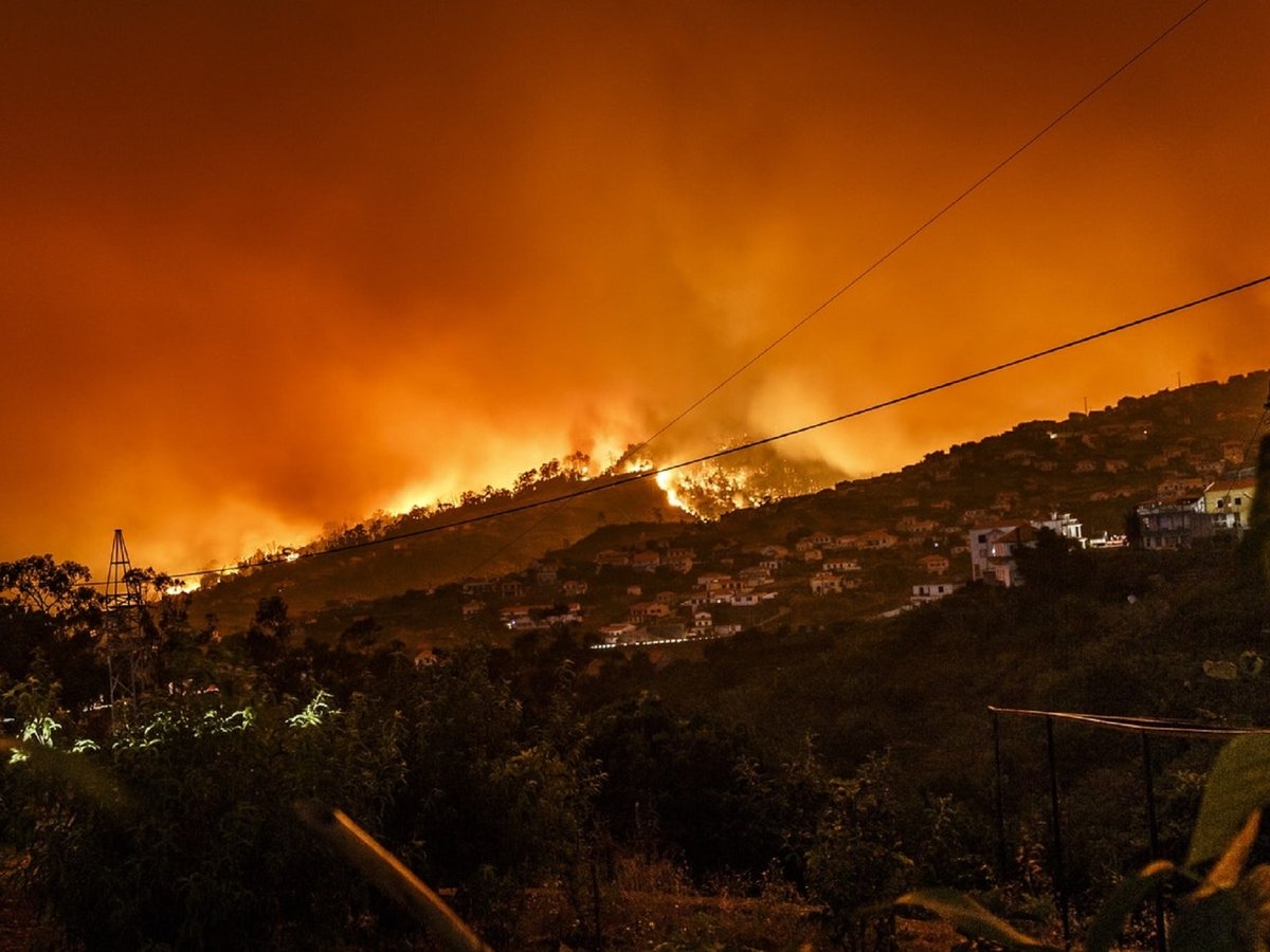 Лесные пожары в Каталонии за несколько часов уничтожили 4 000 гектаров леса