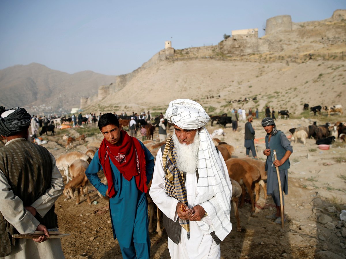 США и Талибан провели переговоры — почему их итог может укрепить ИГ?