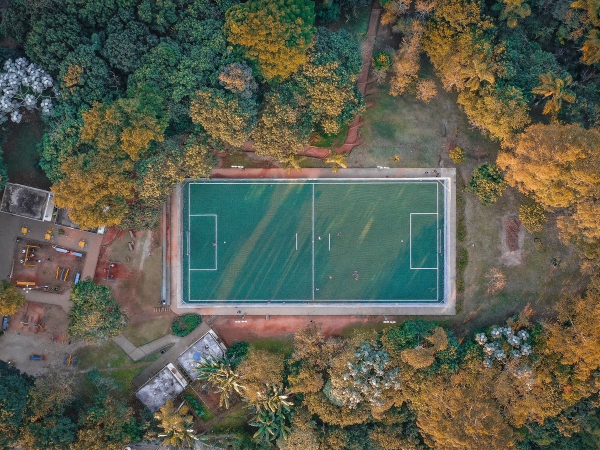 Искусство и экология важнее футбола: художник превратил стадион в лес (фото)