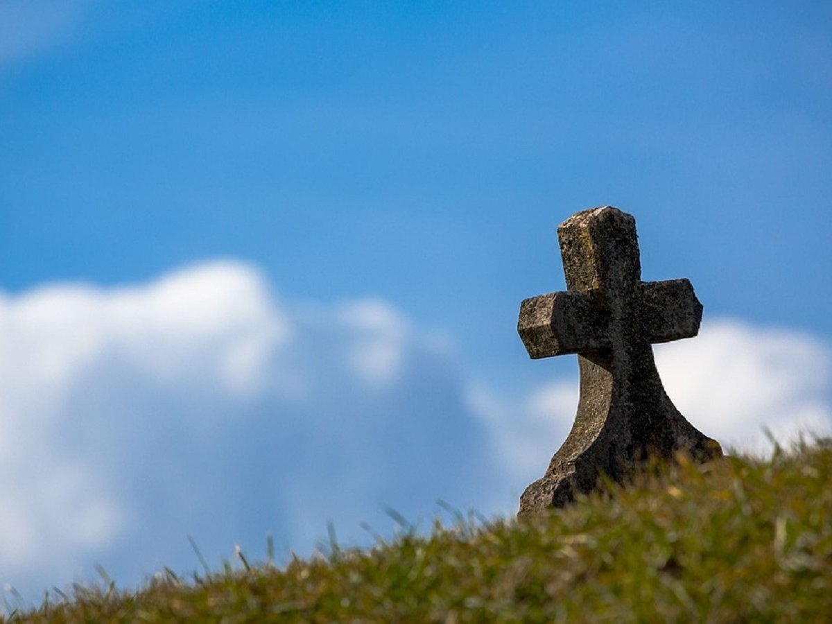 Университет в Голландии приглашает студентов в могилу. Отдохнуть и подумать
