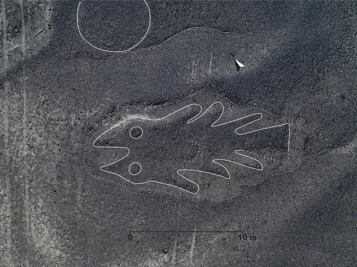 На плато Наска учёные обнаружили 143 новых рисунка (фото)