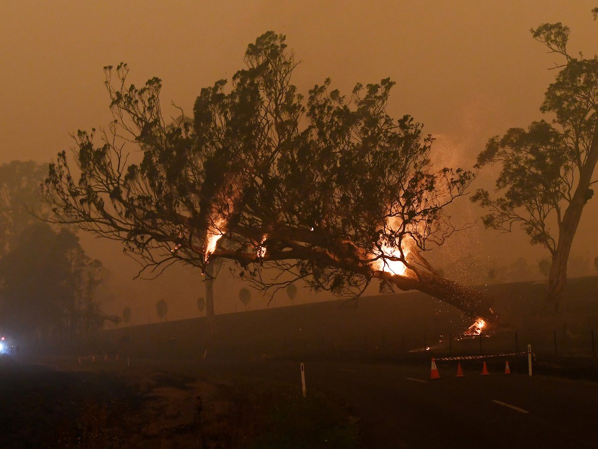 Дым от австралийских пожаров путешествует по миру. Но скоро он вернётся домой