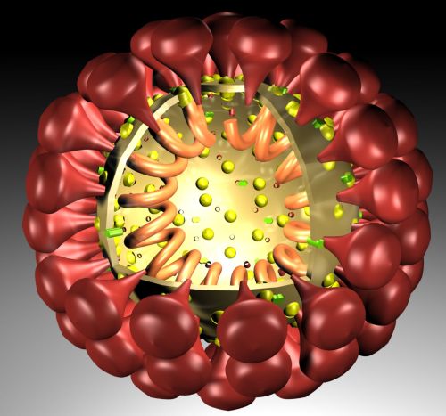 Трёхмерная модель коронавируса
