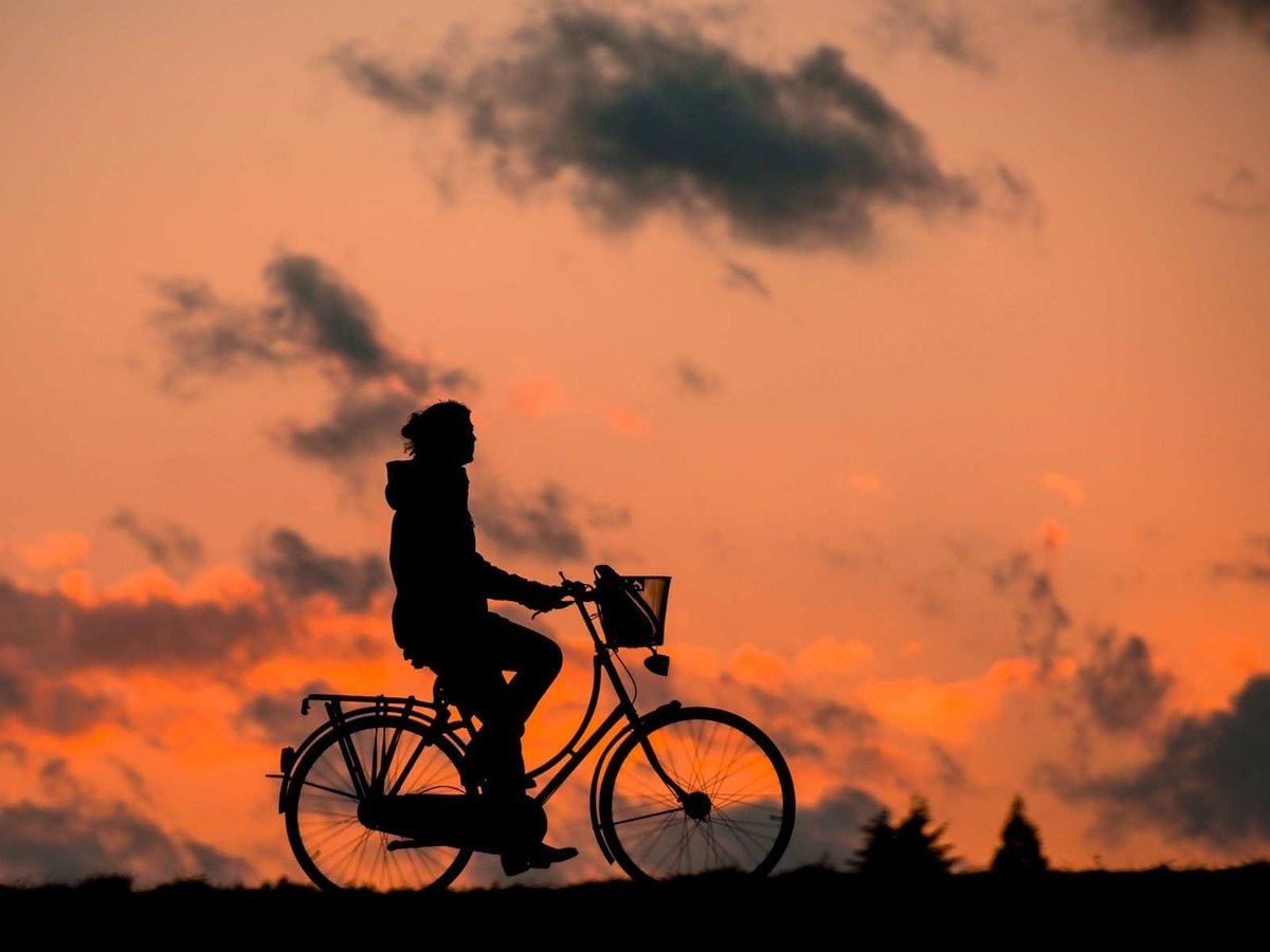 Велосипеды и ничего кроме — Нидерланды строят район без дорог
