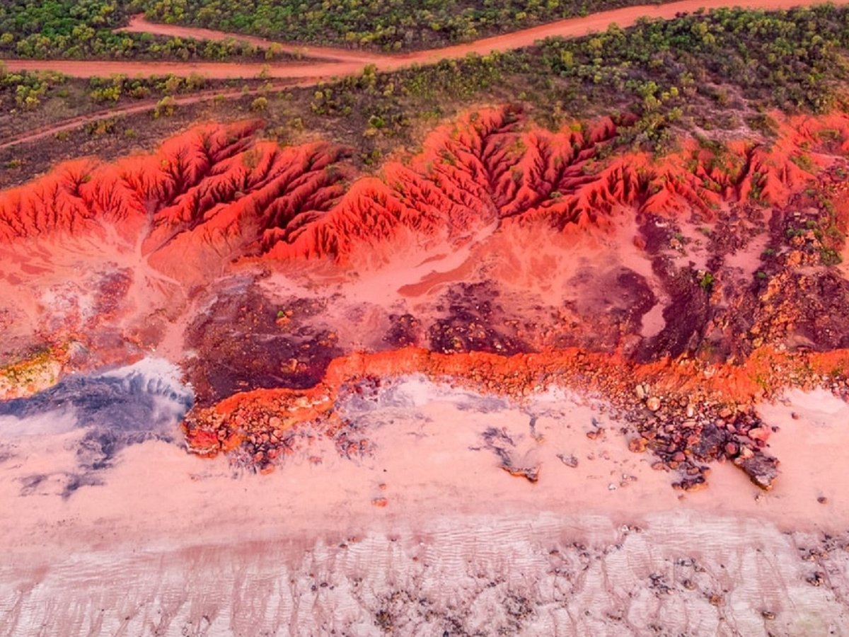 Пляжи в Новой Зеландии стали ярко-красными из-за миллионов мёртвых крабов (фото)