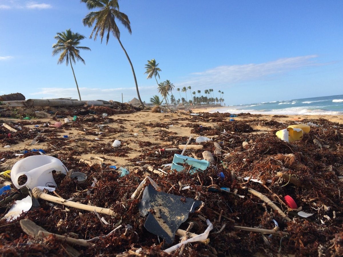 Да, океаны загрязнены микропластиком. Но, возможно, всё не так уж и плохо