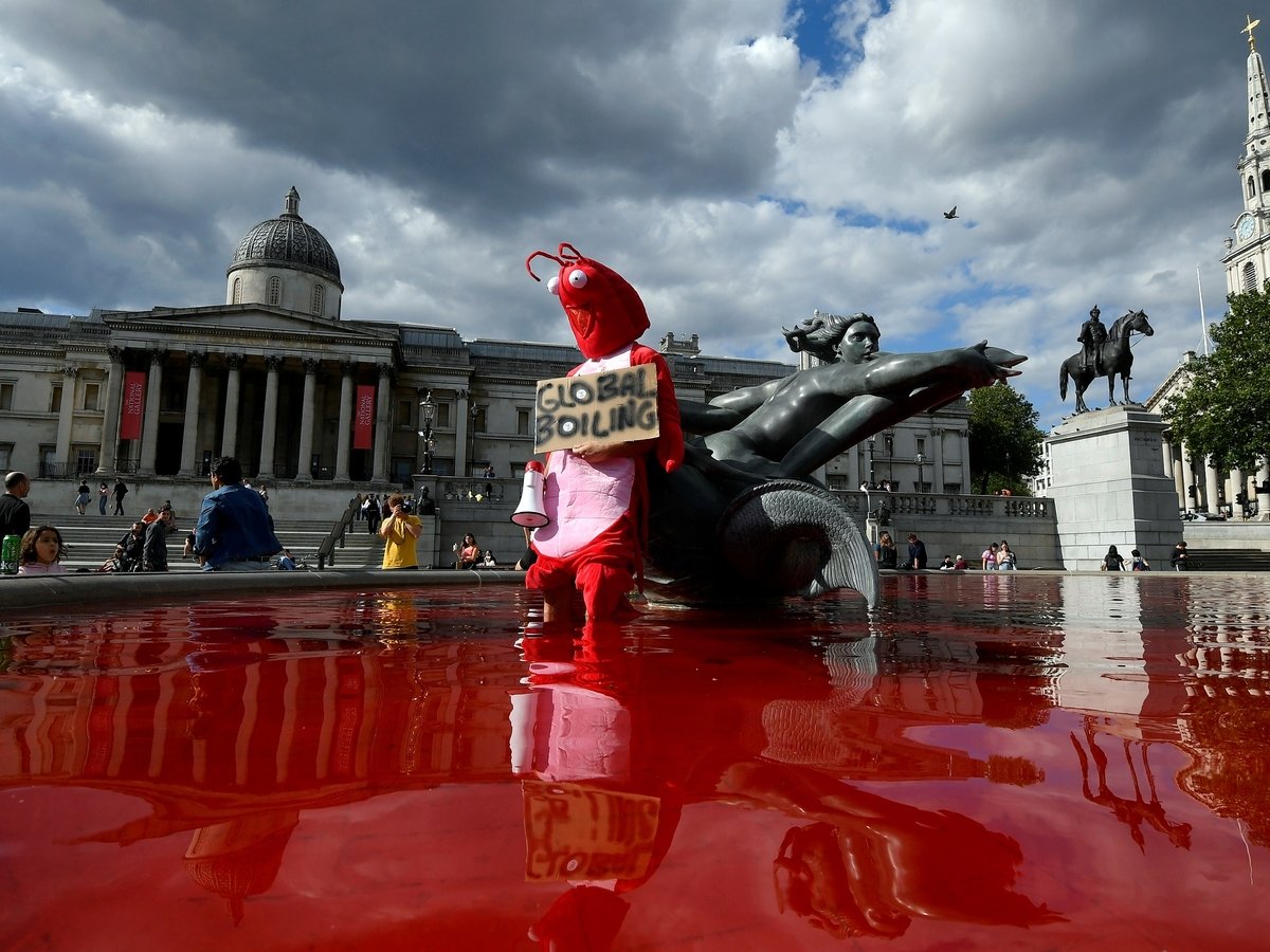 Защитники животных превратили фонтаны в Лондоне в море крови (фото, видео)