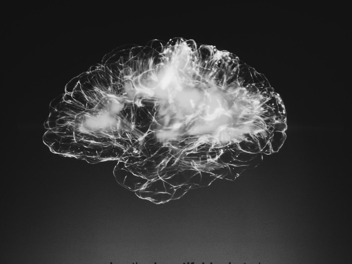 Остекленевший мозг жертв Везувия сохранил все нейроны. Им почти 2 000 лет