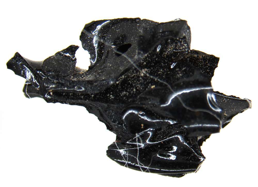 Фрагмент мозга, найденный в черепе римлянина из Геркуланума