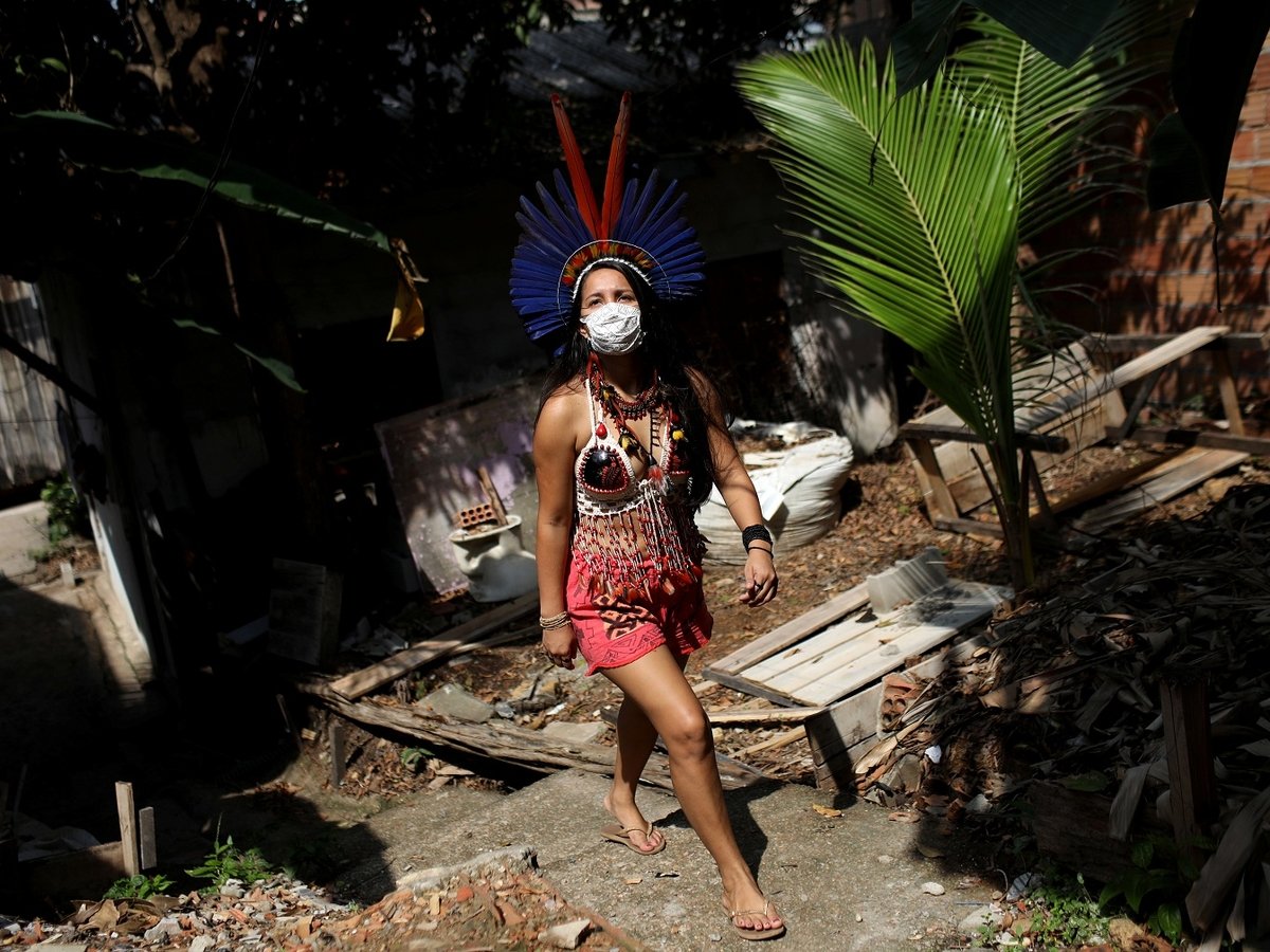 Потёмкинские деревни в джунглях: разрушение Амазонии скрыли от экспертов