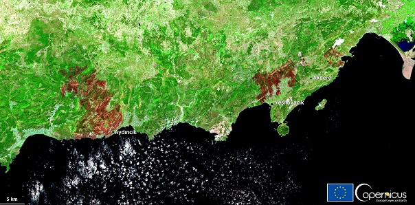 Спутниковый снимок затронутой территории