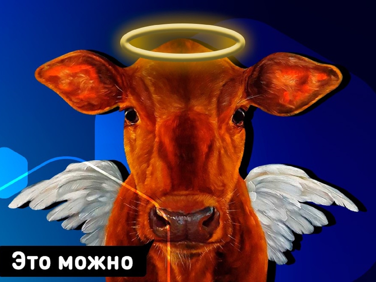 Священные коровы санкций: на что не действуют ограничения 