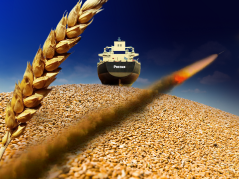 Что посеешь — почему Россия вышла из зерновой сделки?