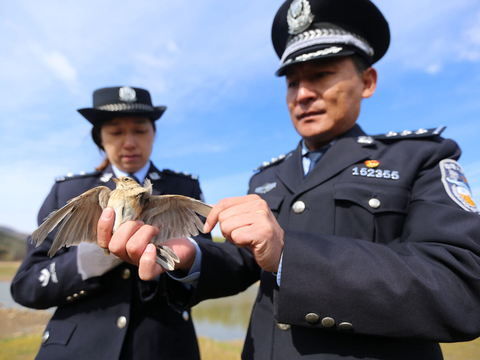 Китайская полиция на выезде