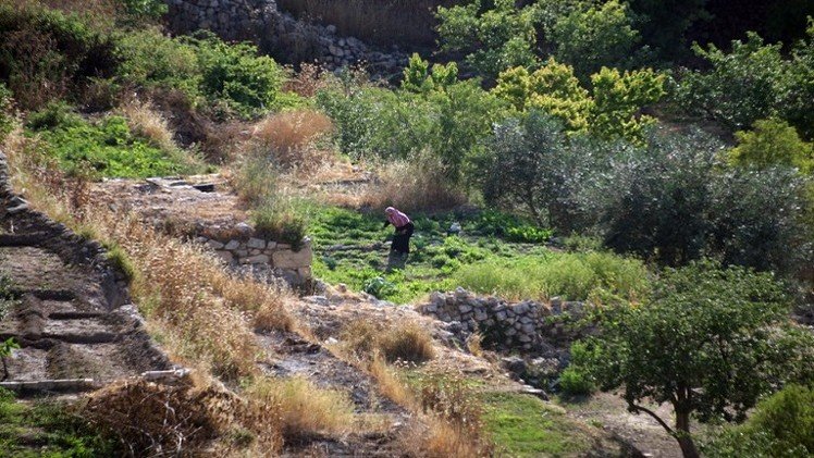 اليونيسكو تدرج قرية بتير الفلسطينية على لائحة التراث العالمي