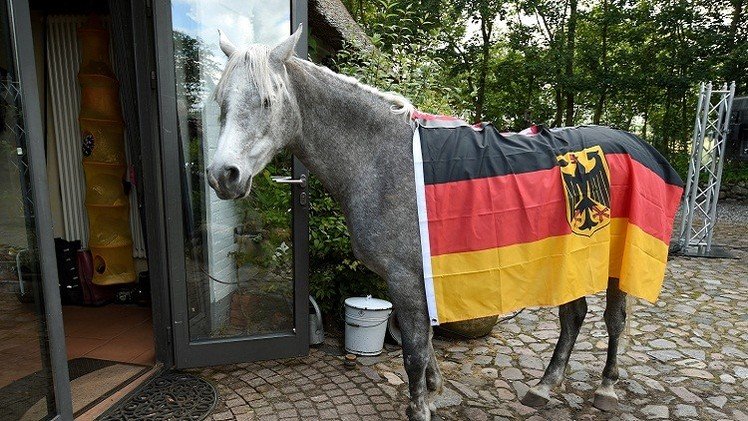 الحصان العربي نصار.. مباراة ألمانيا والولايات المتحدة ستنتهي بالتعادل 1-1