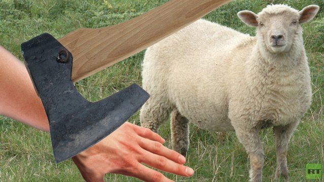 السعودية .. أم تناشد باستبدال حكم قطع يد ابنها بسبب خروف