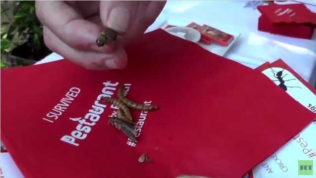 بالفيديو... حشرات مطبوخة تقدم في أحد مطاعم واشنطن