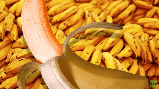 الموز المعدل وراثيا يخلص أفريقيا من نقص الفيتامينات