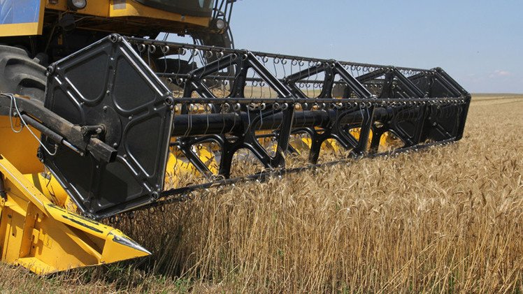 محصول الحبوب الروسي هذا الموسم يصل إلى 20.1 مليون طن حتى منتصف يوليو