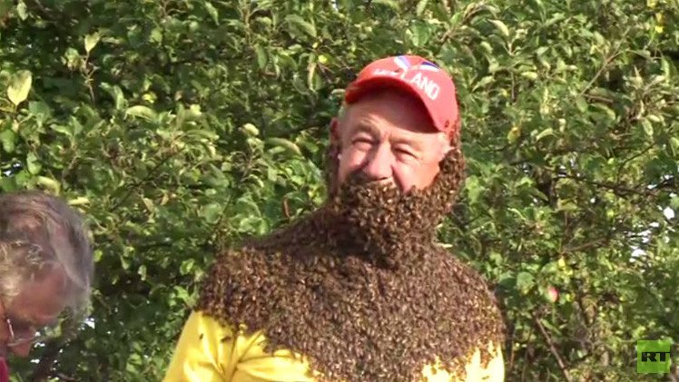 بالفيديو... ما هي أفضل لحية من النحل ؟