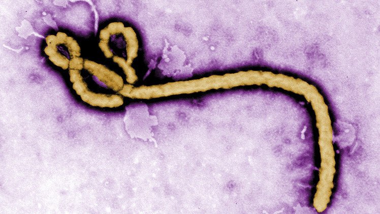 10 حقائق هامة حول فيروس إيبولا
