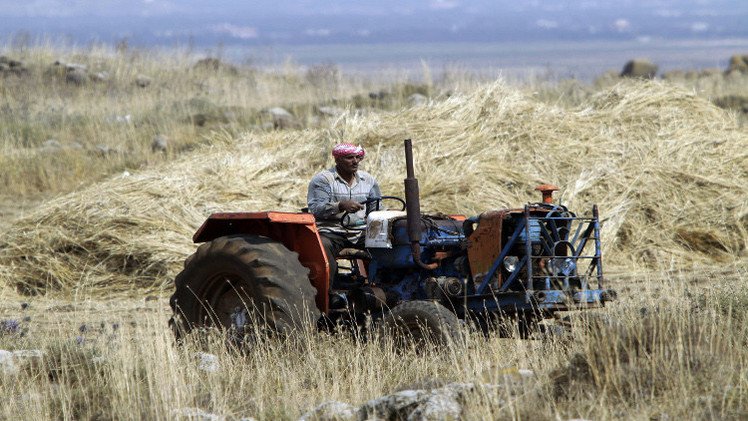 خطر الجفاف يحدق بالزراعة في لبنان