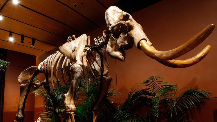 مزارع أمريكي وابنه يعثران على كنز من عصور ما قبل التاريخ 