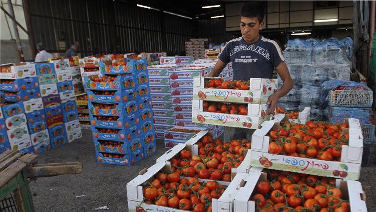 فلسطين مستعدة لتوريد الفواكه والخضار إلى السوق الروسية