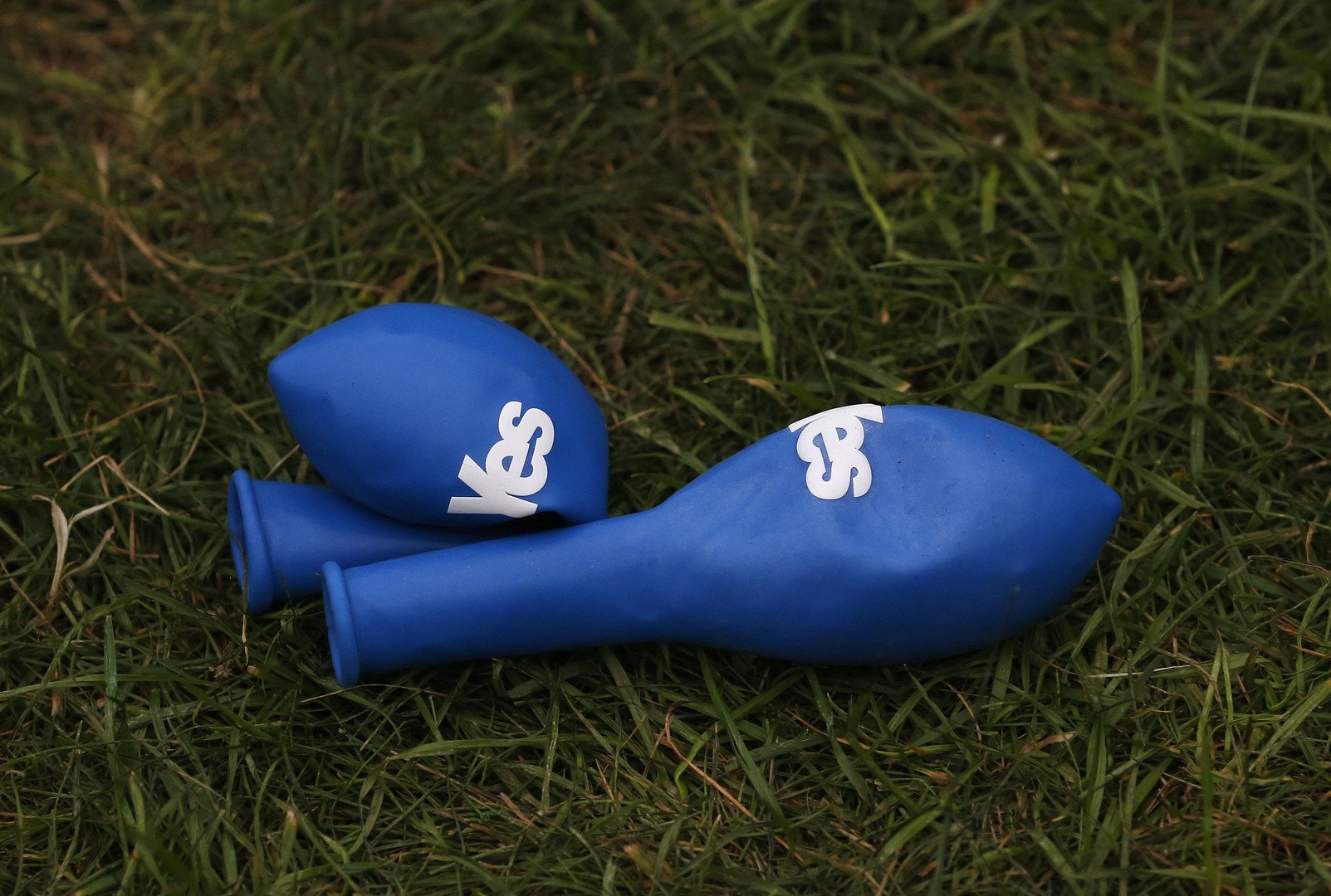 بالونات كتب عليها "نعم" للاستقلال