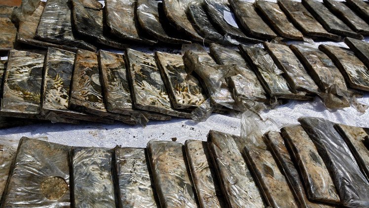 قرغيزيا.. اعتقال سياسي بحوزته أكثر من 20 كغ من المخدرات