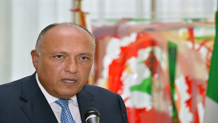 الأزمة الليبية محور زيارة وزير الخارجية المصري إلى الجزائر 