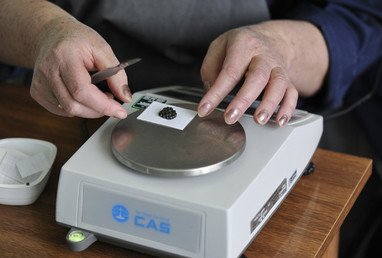 عاملة قسم الجودة تجري اختبارات على الكافيار الأسود باهظ الثمن المستخرج من الحفش  