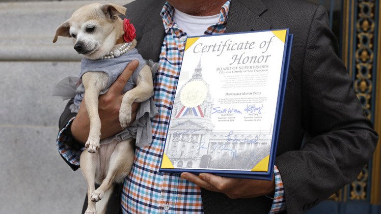 كلب يصبح عمدة لسان فرانسيسكو ليوم واحد